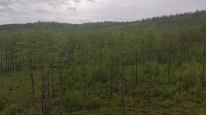 #Забайкалье