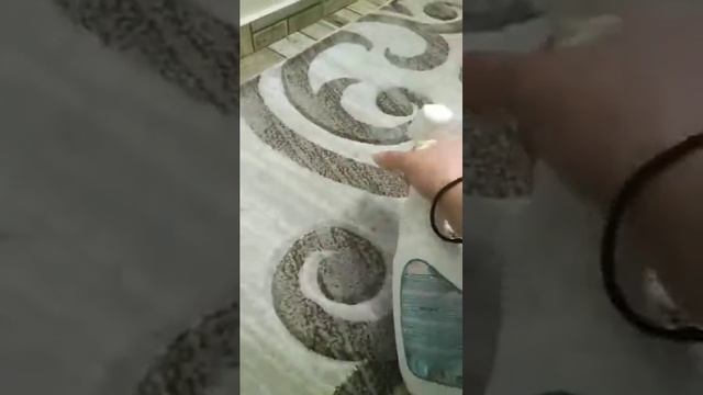 Пятновыводитель