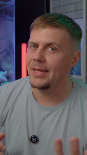 Мандаринка ест планарии? смотреть онлайн