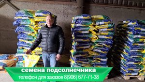 Поступление на склад семена - Тальда. 13 февраля 2024 год