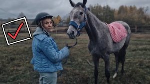 Мемуары конника, EA, конная эстетика. Приучить лошадь к седлу. Обучение лошадей, жеребенка