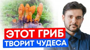 Этот Гриб ЗАМЕДЛЯЕТ СТАРЕНИЕ и ПОВЫШАЕТ ЛИБИДО! Забудьте об УСТАЛОСТИ и СЛАБОМ ИММУНИТЕ