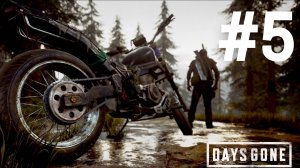 Days Gone прохождение #5