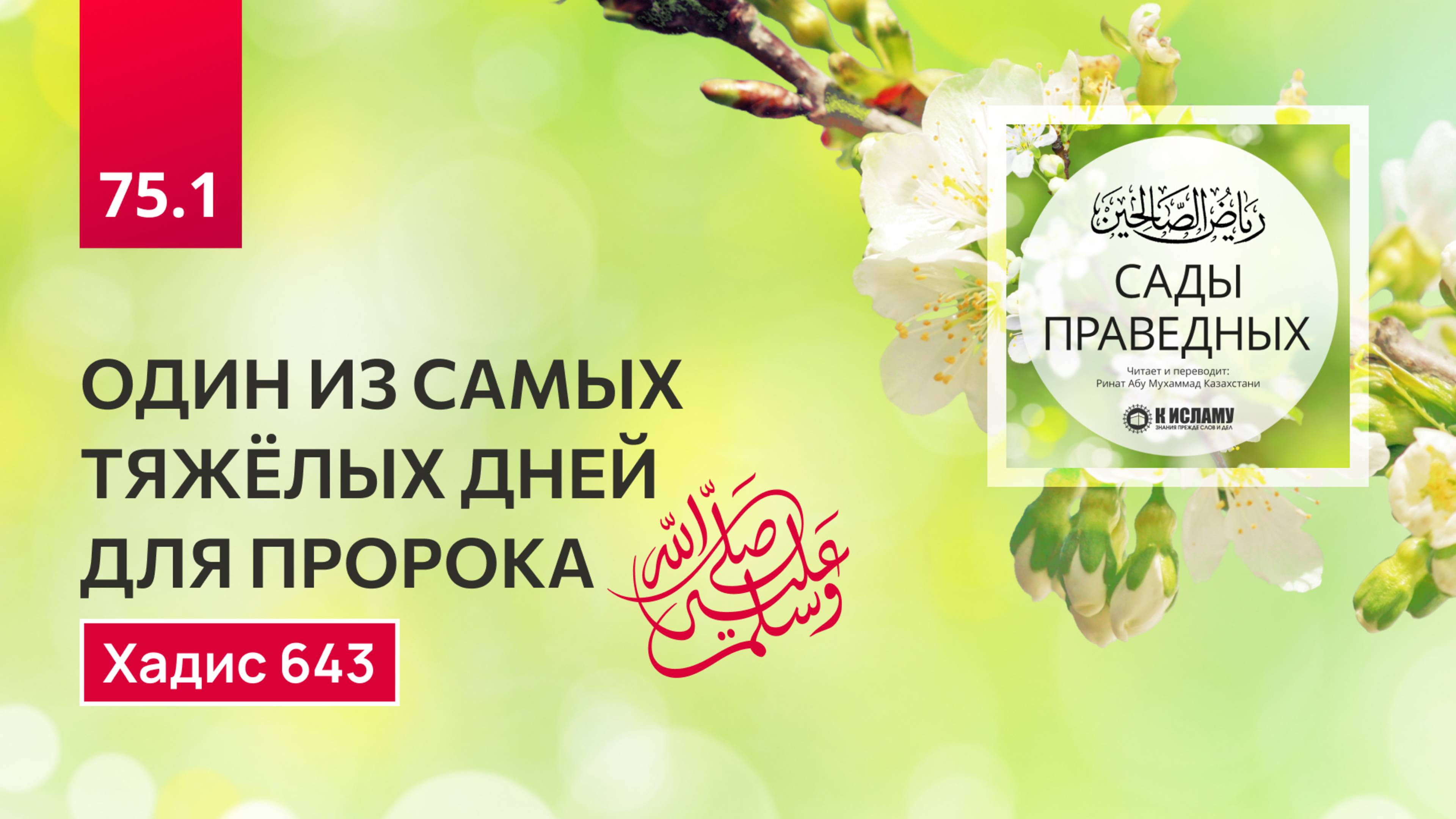 75.1 Сады праведных. Один из самых тяжёлых дней для Пророка Мухаммада ﷺ. Хадис 643