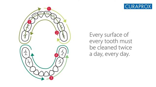 Szczoteczka Curakid dla dzieci - curaprox. смотреть онлайн