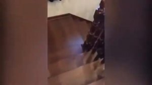 Как живут таможенники? Обыск в особняке бывшего начальника таможни