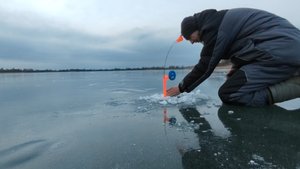 Рыбалка на Жерлицы зимой. Первые срезы.
