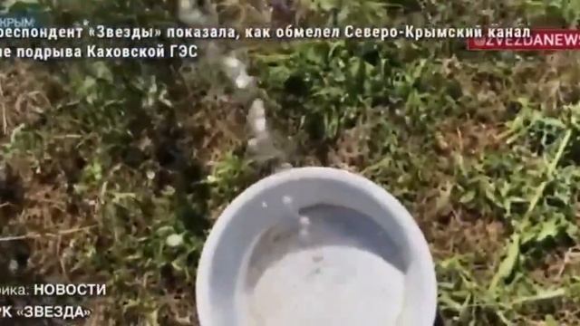 «Топ реклама» курортного Крыма от телеканал мо рф Звезда смотреть онлайн