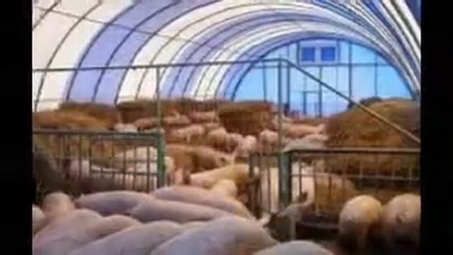 Ангар за короткий срок. ANGAR-RU.RU.8-47396-37455 смотреть онлайн