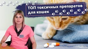 Топ токсичных препаратов для кошек_ Чего нельзя давать Вашей кошке