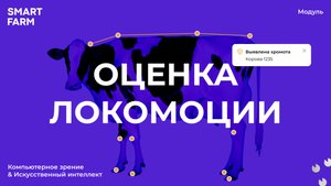 Автоматическая оценка локомоции | Выявление хромоты у крс на ранних стадиях | SMART FARM