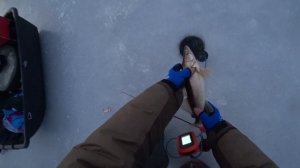 Ловля Судака На Ратлины