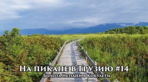 На пикапе в Грузию #14 Болота Испани в Кобулети