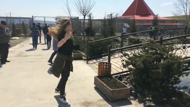 Прекрасный день/Ресторан Жар-Птица/ELIZAVETA KREPS смотреть онлайн