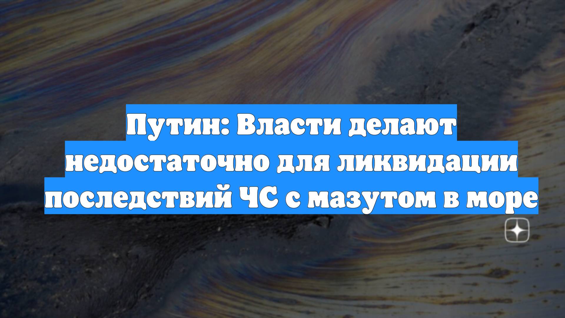 Путин: Власти делают недостаточно для ликвидации последствий ЧС с мазутом в море