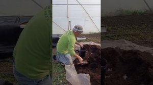 Экономия более чем в два раза! Самодельные маты для выращивания клубники.