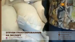 Отруби пшеничные гранулированные на экспорт
