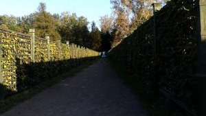 Кусково. Усадьба, музей, парк. Исторические локации Москвы.