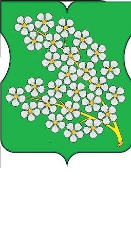 Очередное заседание Совета депутатов мун. округа Черемушки в городе Москве №35 от 21.01.2025г.