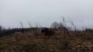 🔥💥Взрываем 100 литровую бочку карбидом. 👍💪