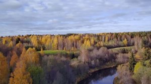 Природа осень сентябрь