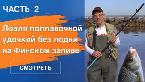 Летняя рыбалка на Финском заливе. Ловля поплавочной удочкой без лодки | Часть 2