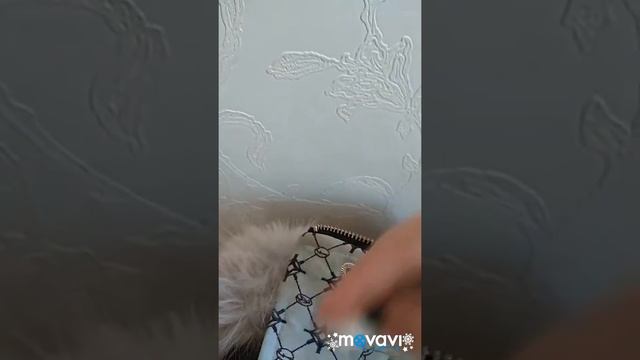 Для #марафонфеячистоты Тестируем Салфетки для удаления пятен смотреть онлайн