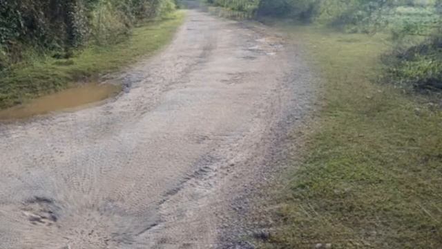 12 ACRE ROBUSTA COFFEE ESTATE FOR SALE IN SAKLESHPURA смотреть онлайн