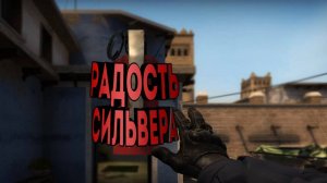 Радость Сильвера (CS:GO)