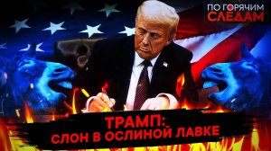 Трамп: слон в ослиной лавке