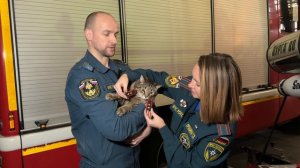 🐈 Кота-прапорщика Толика номинировали на международную премию 

Кота Толика из пожарной части №89 в