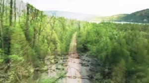 Наполненная Жизнью. Картина+стихотворное пророческое послание. Автор Анжела Адлер.