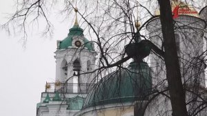 160-летие готовится отметить Ярославский музей-заповедник