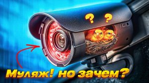 Зачем нужен муляж камеры видеонаблюдения?