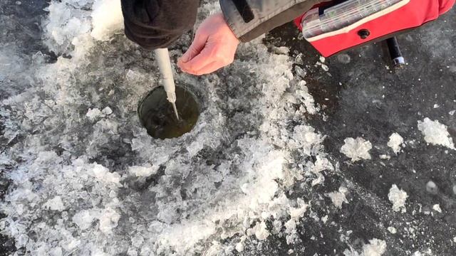 Щучка зимой на виб Smith Bay Blue смотреть онлайн