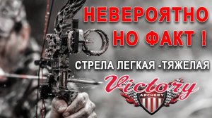 Легкая и тяжелая стрела Victory VAP