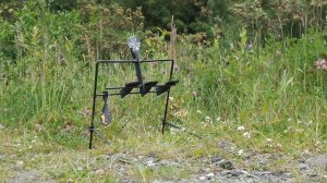 Walther Rotex RM8 Review
