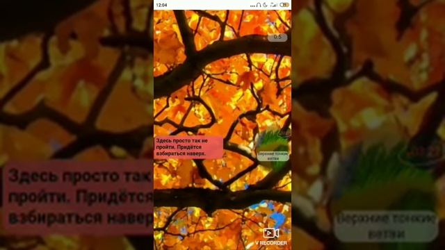 Качаем лазанье! /CatWar #4 смотреть онлайн