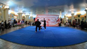 День рождения ДСА. Айкидо джитсу