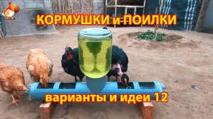 Кормушки и поилки для кур своими руками идеи и варианты (12)