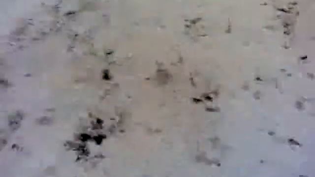 В мешке.flv смотреть онлайн