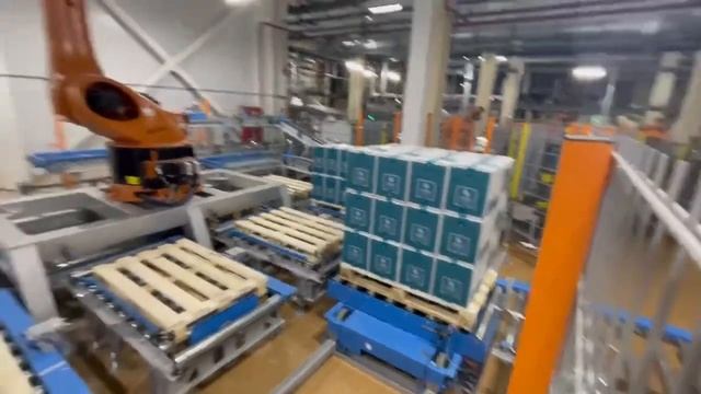 Pallet Shuttle & Pallet Rollgangs. Паллетная конвейерная линия, шаттл.
