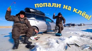 Зимняя рыбалка с ночёвкой. КЛЮЁТ ВСЁ! Навага, селёдка, писуч