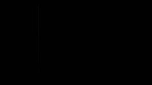 Японские кухонные ножи XITUO