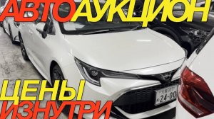 ЯПОНЦЫ ЖДУТ ОТМЕНЫ САНКЦИЙ  _ TOYOTA YARIS RAIZE COROLLA SPORT TOURING WOLKSWAGEN TOURAN