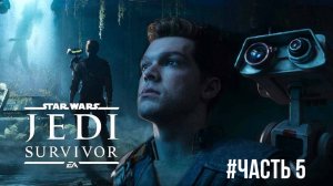 Star Wars Jedi Survivor #часть 5