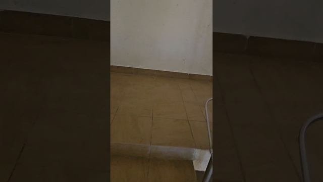 Нюансы при расчёте стоимости ремонта смотреть онлайн