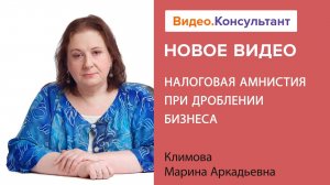 Налоговая амнистия при дроблении бизнеса | Смотрите семинар на Видео.Консультант