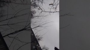 привет