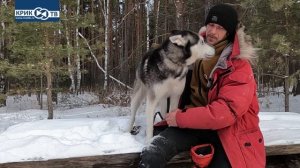 "Клуб охотников и рыболовов" выпуск 180 Ездовые собаки